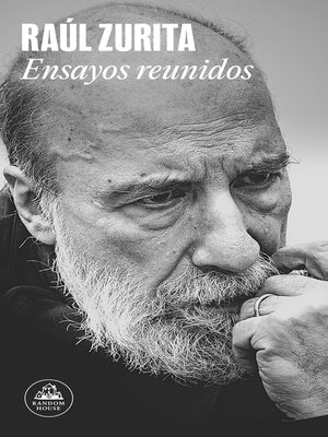 cover image of Ensayos reunidos